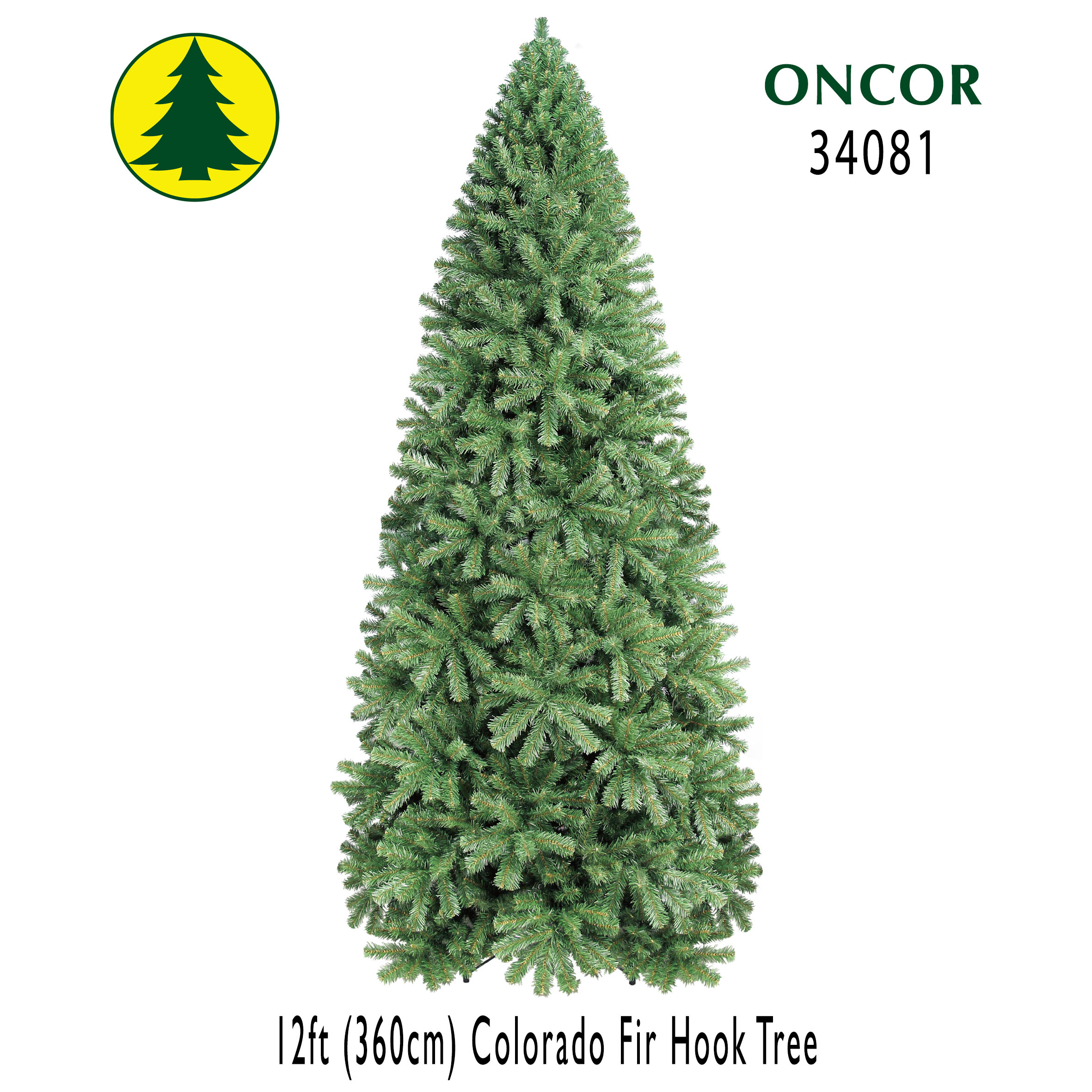 12Ft_34081_Box.jpg